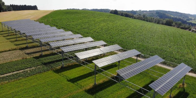 «Agri-Photovoltaik» im Hitzesommer