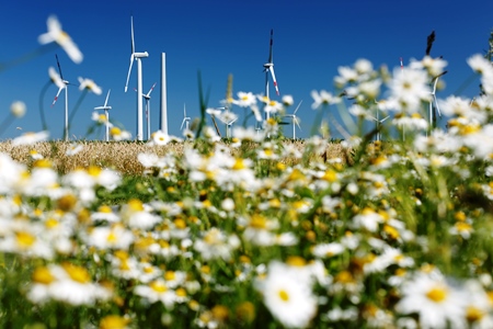 Deutschland: Orkantief Sabine bescherte zweitweise 75% Windstrom – keine Netzprobleme trotz hoher Einspeisung
