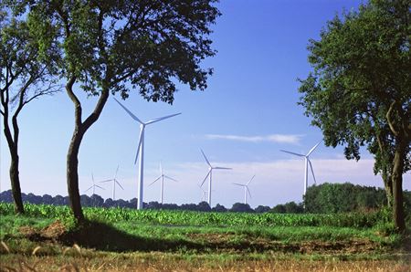 Schweizer Investitionen in erneuerbare Energien im Ausland steigen stetig – über 80 % fliessen in Windenergie