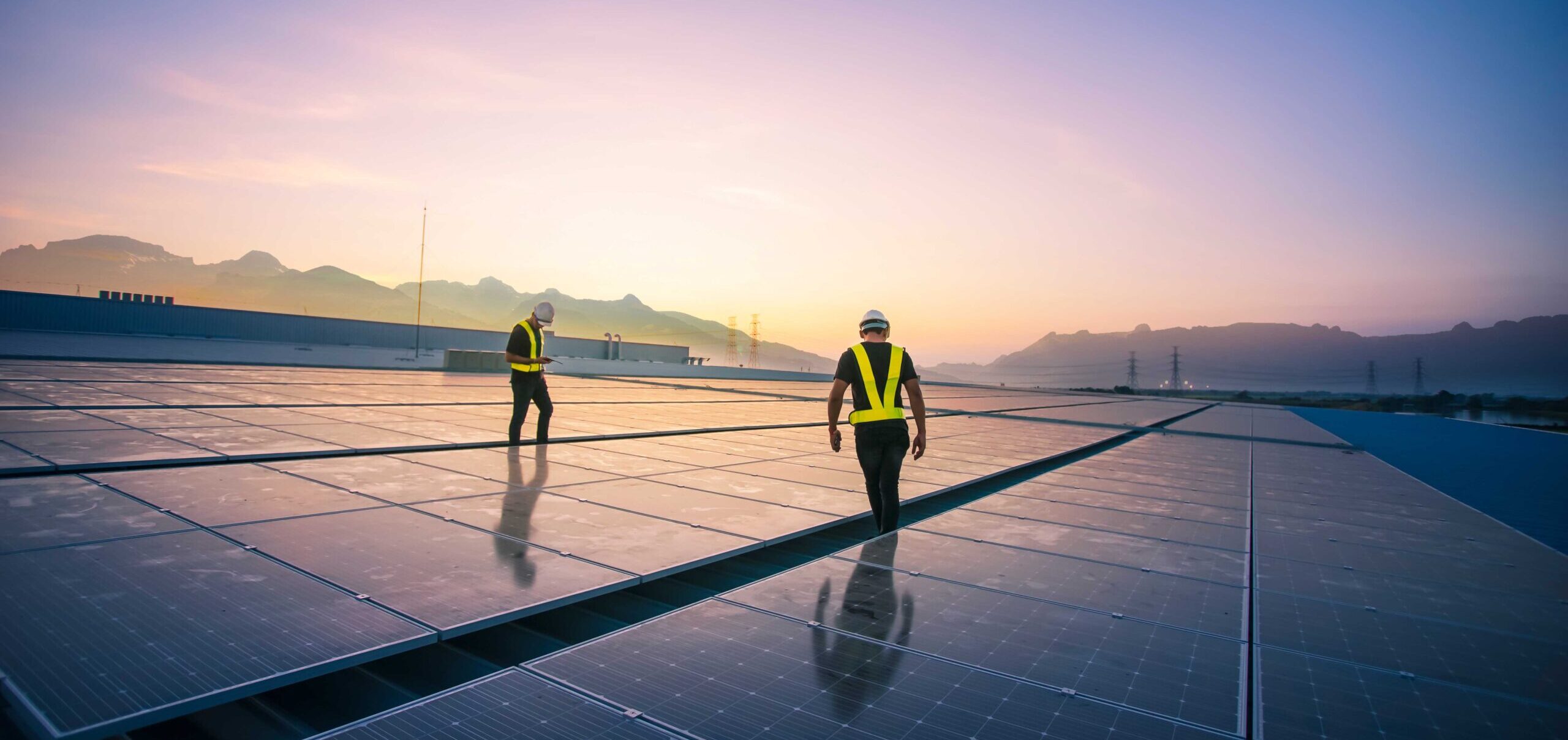 Solar­genossen­schaft ist enttäuscht vom Einknicken der Regierung