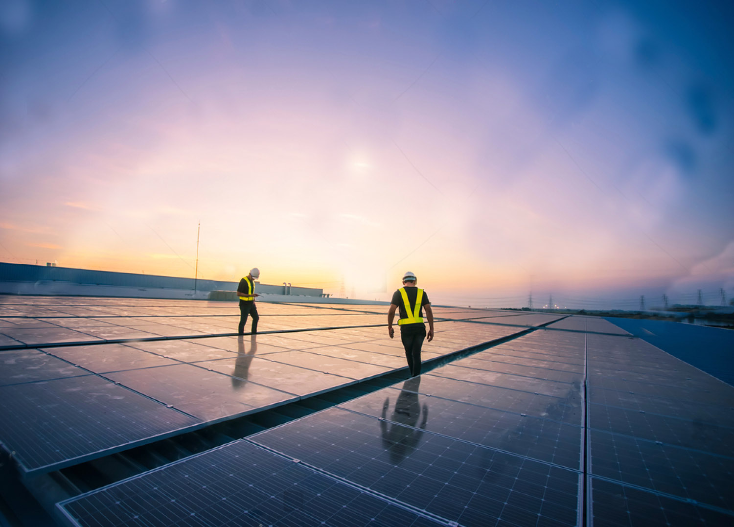 Solar­genossen­schaft ist enttäuscht vom Einknicken der Regierung