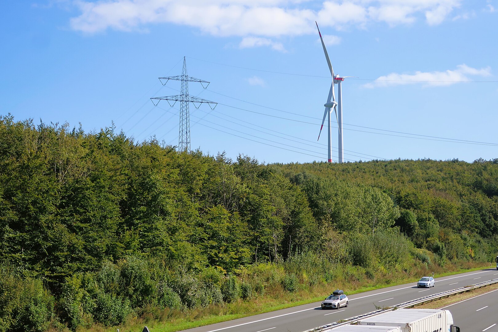 Zugvögel meiden Windräder: Neue Studie mit verblüffendem Ergebnis